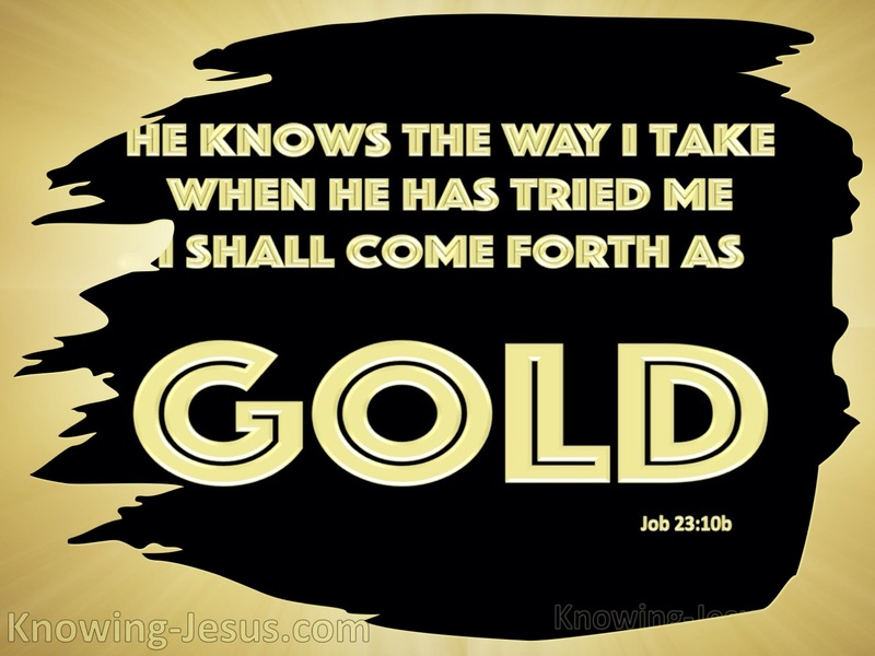 Job 23:10 He Knows The Way I Take (black)